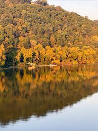 Quiet park scene with light and shadow